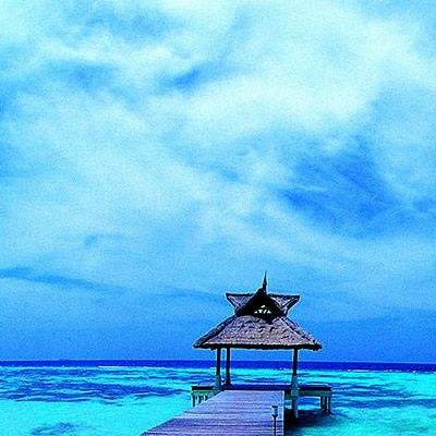 KOK·综合体育app